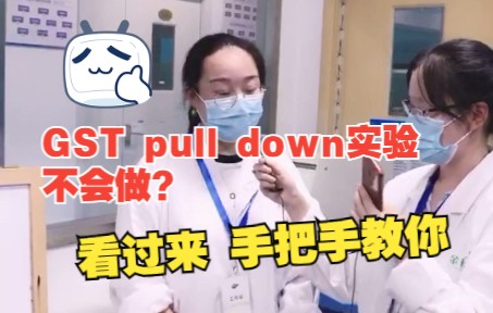 [图]GST pull down实验不会做？看过来手把手教你！！！（一）