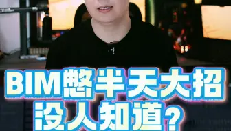 BIM憋半天大招，没人知道？