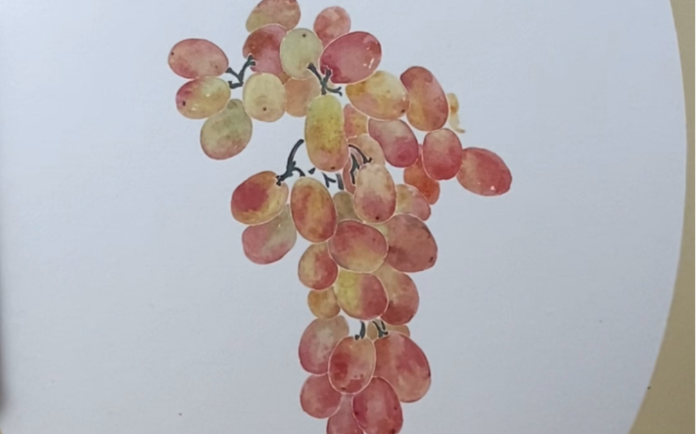 中国画—葡萄的没骨画法