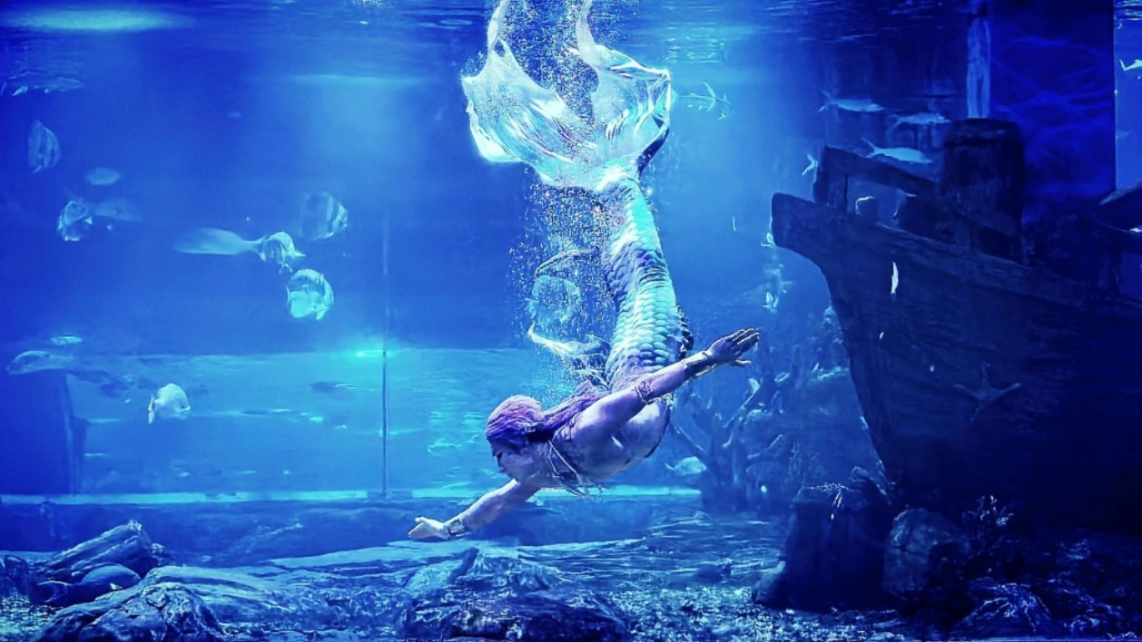 5.20上海鹏新海洋世界祁煜cos美人鱼表演存档