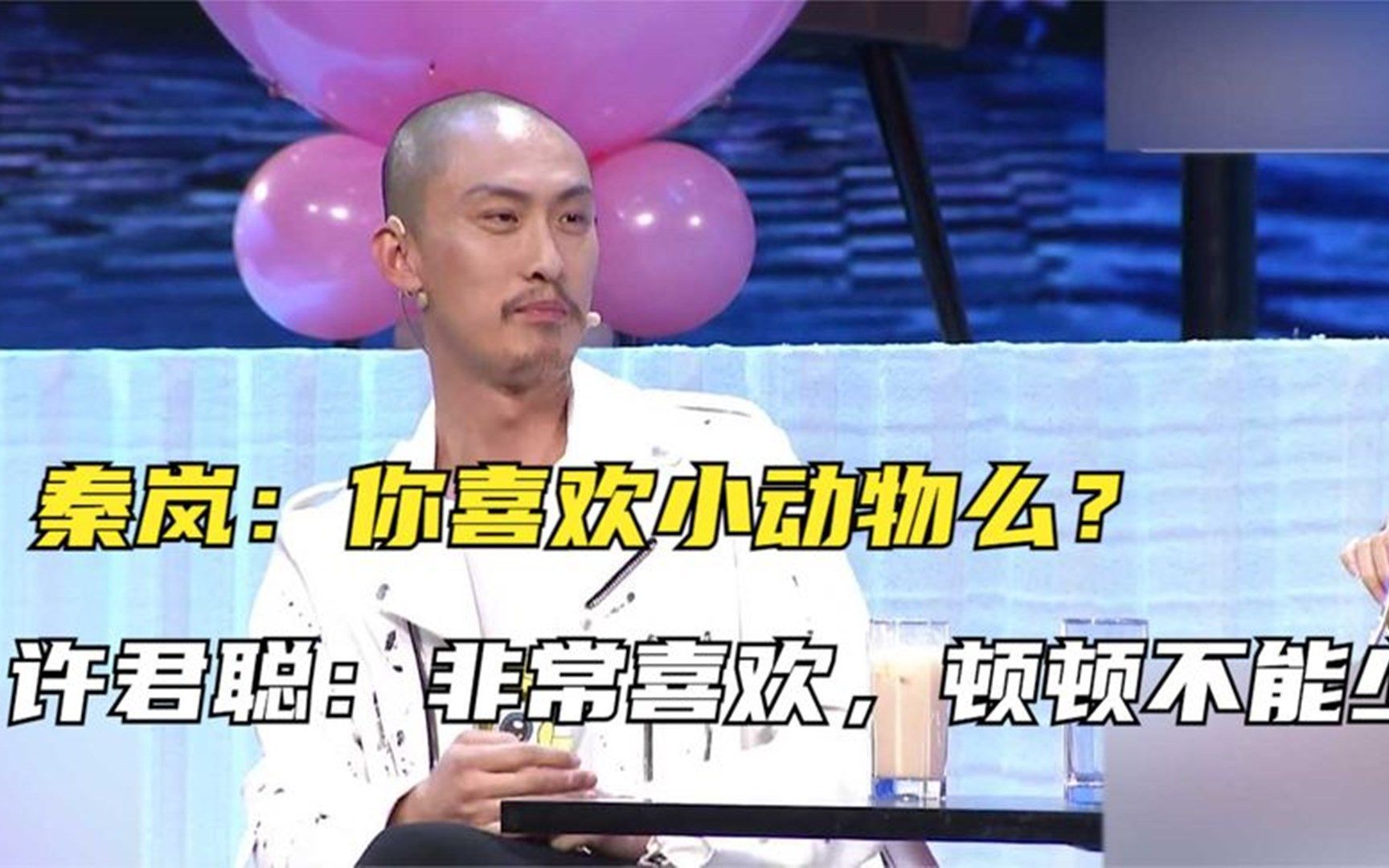 秦岚:你喜欢小动物么?许君聪:非常喜欢,顿顿不能少