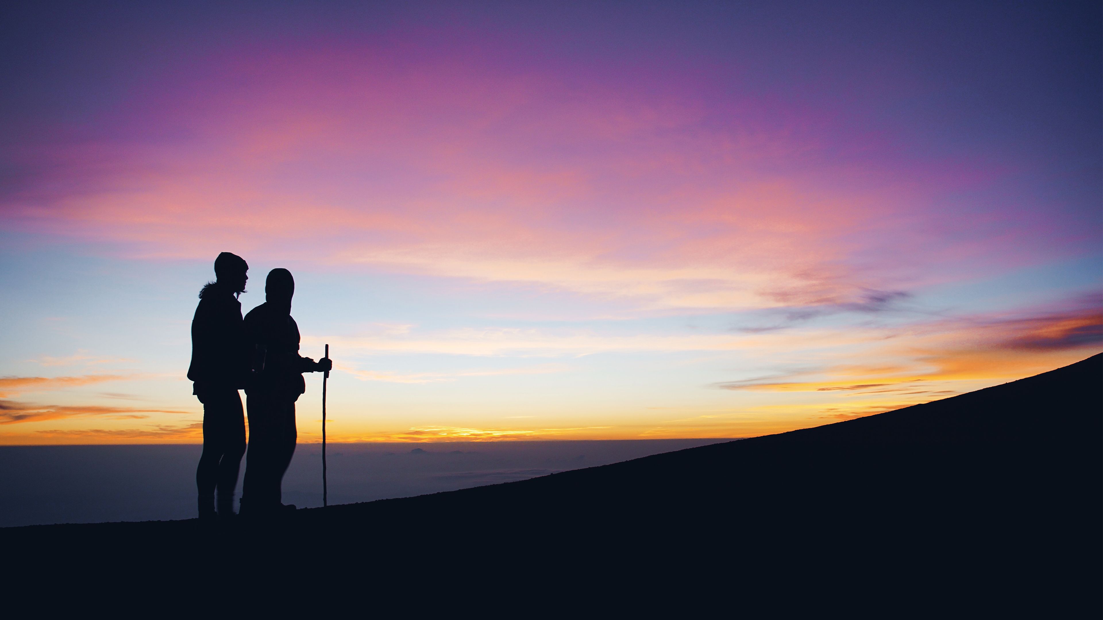 山川草木年年吐新芳-阿里郎!