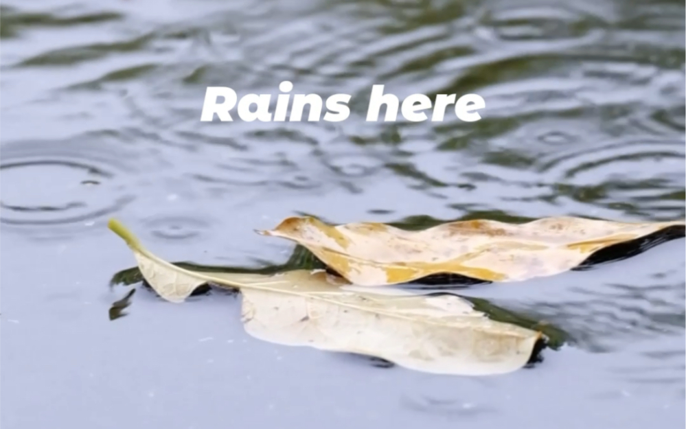 秋雨|广东海洋大学阳江校区哔哩哔哩bilibili