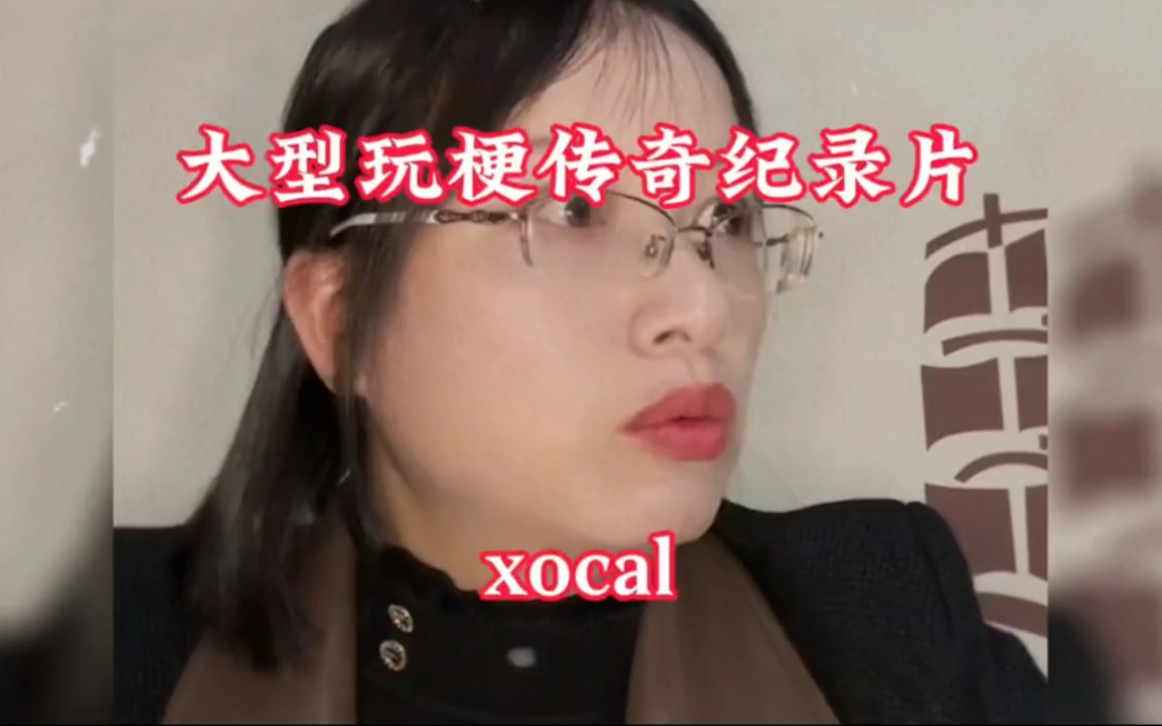 大型玩梗传奇纪录片《vocal》互联网新词汇vocal#vocal #新梗哔哩哔哩bilibili