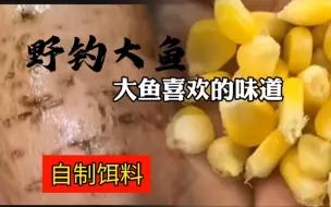 Скачать видео: 野钓大鱼，自制饵料，大鱼喜欢的味道