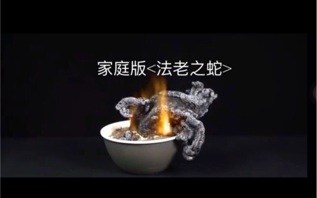 家庭版法老之蛇