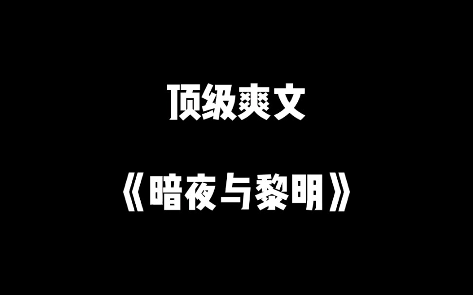 《暗夜与黎明》哔哩哔哩bilibili