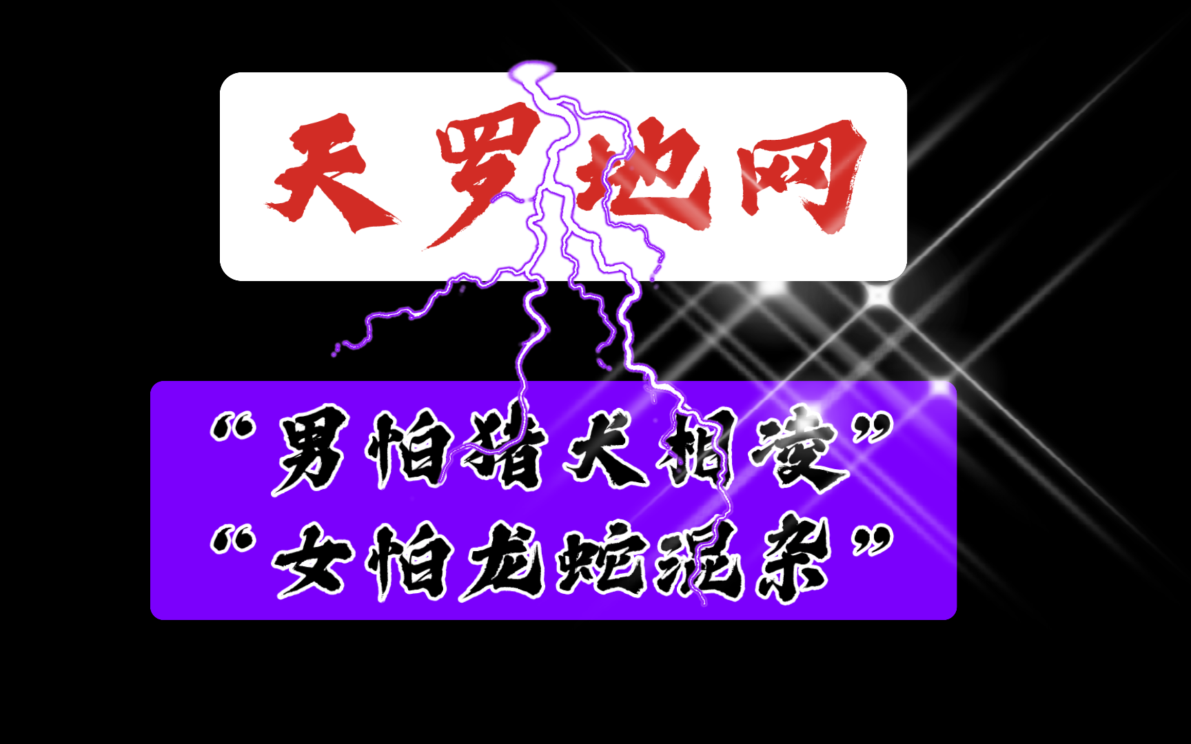 「天罗地网」,男怕猪犬相凌,女怕龙蛇混杂哔哩哔哩bilibili