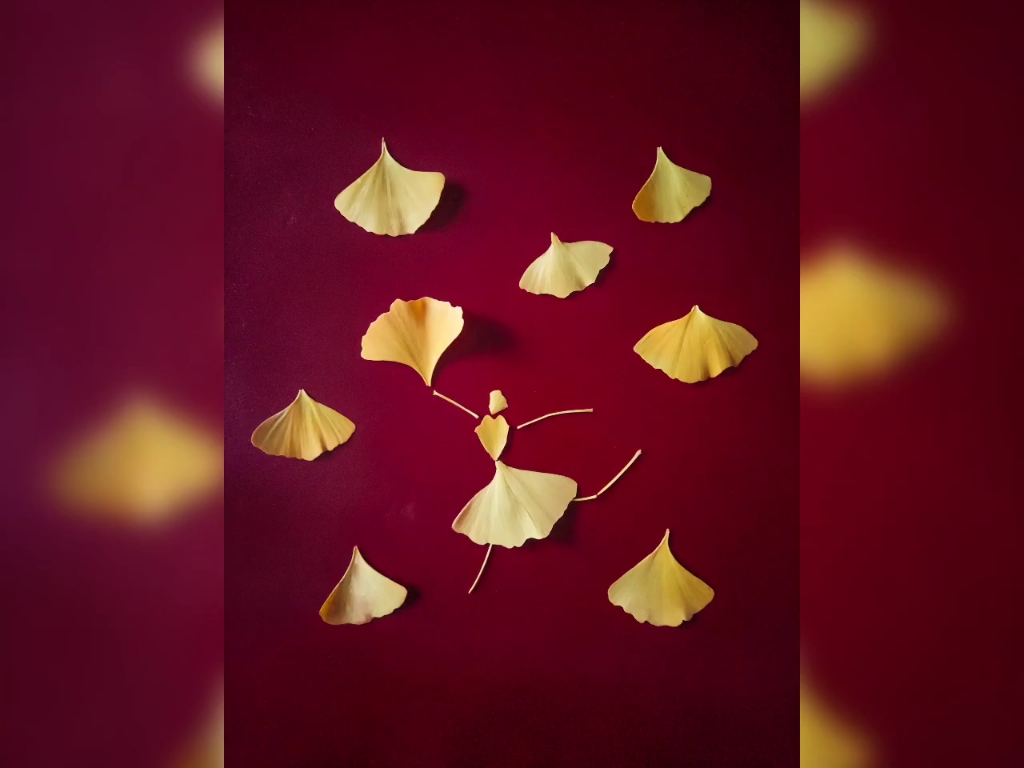 秋季银杏创意摄影