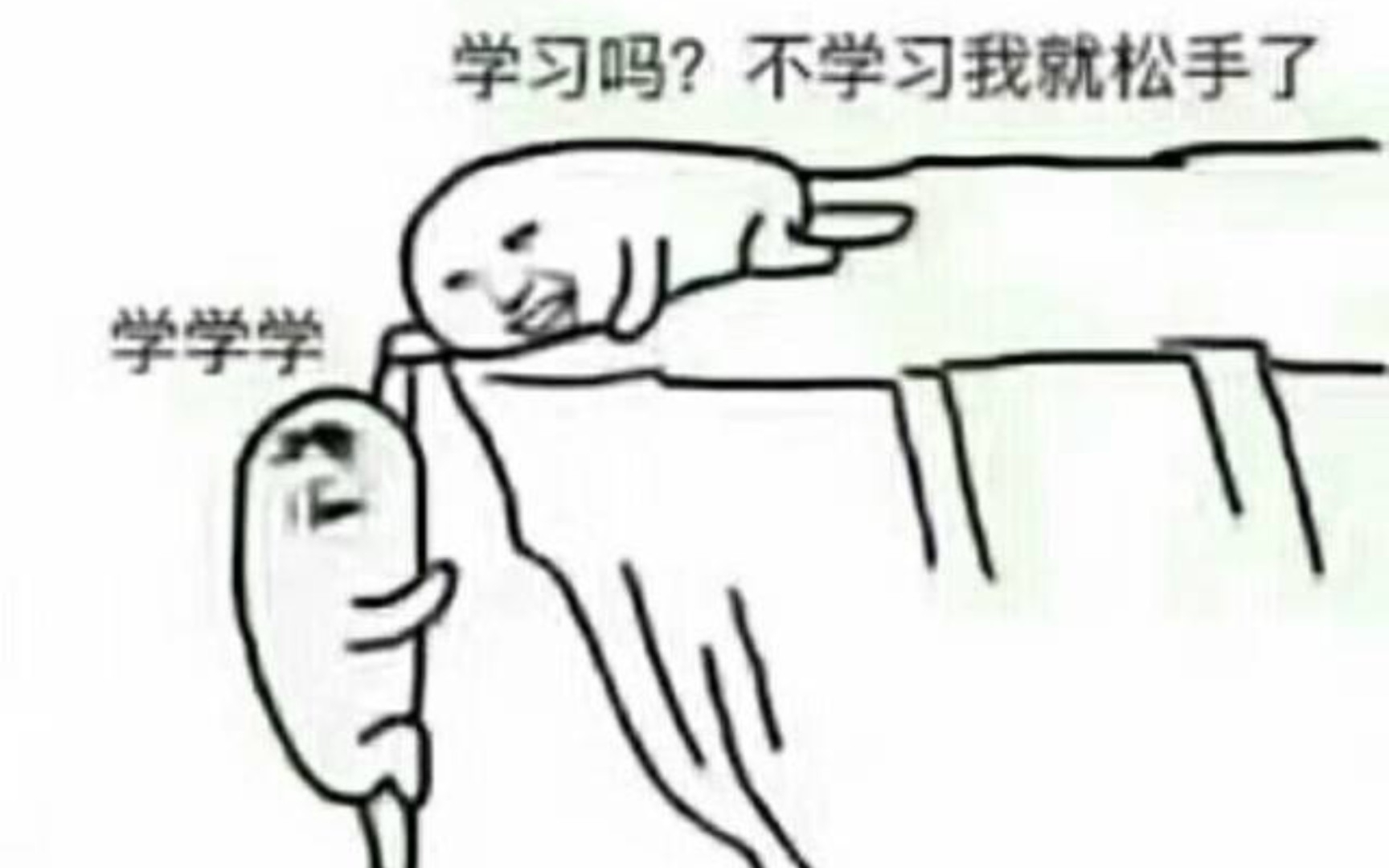 坚持学习哔哩哔哩bilibili