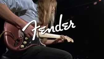 Download Video: Fender 美国演奏家 Stratocaster MN, Penny