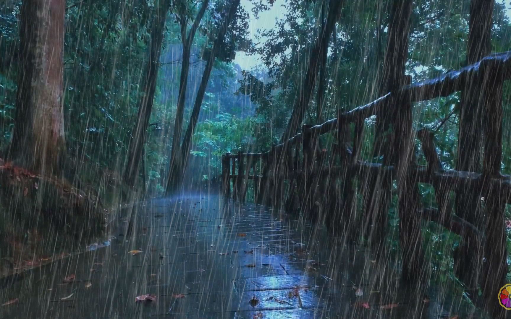 【白噪音】树林美丽的雨声和雷声，极度舒适雨声，睡眠，放松，治疗，专注，学习，正念，助眠，入睡，减压，2021