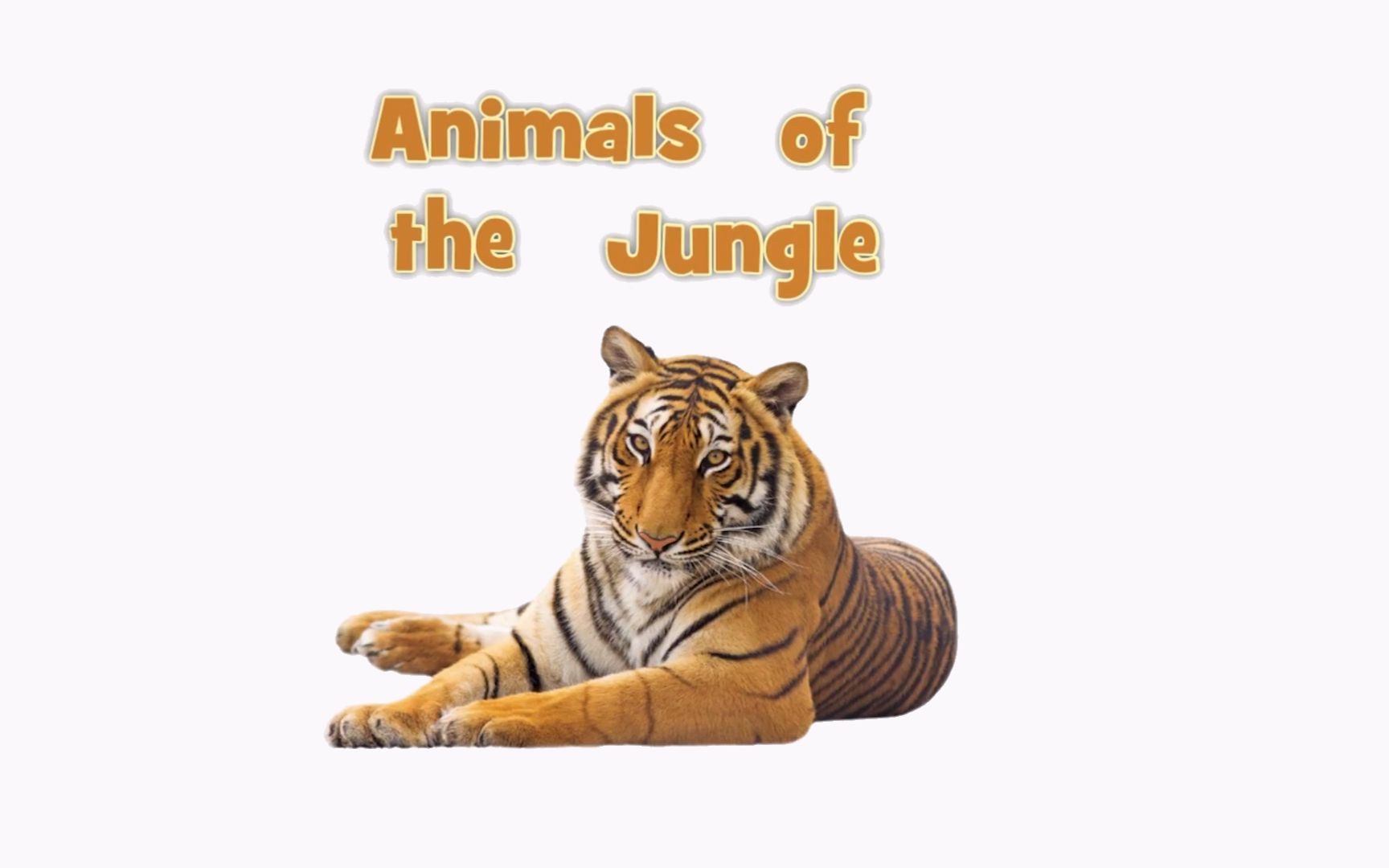 [图]绘本分享：Animals of the Jungle