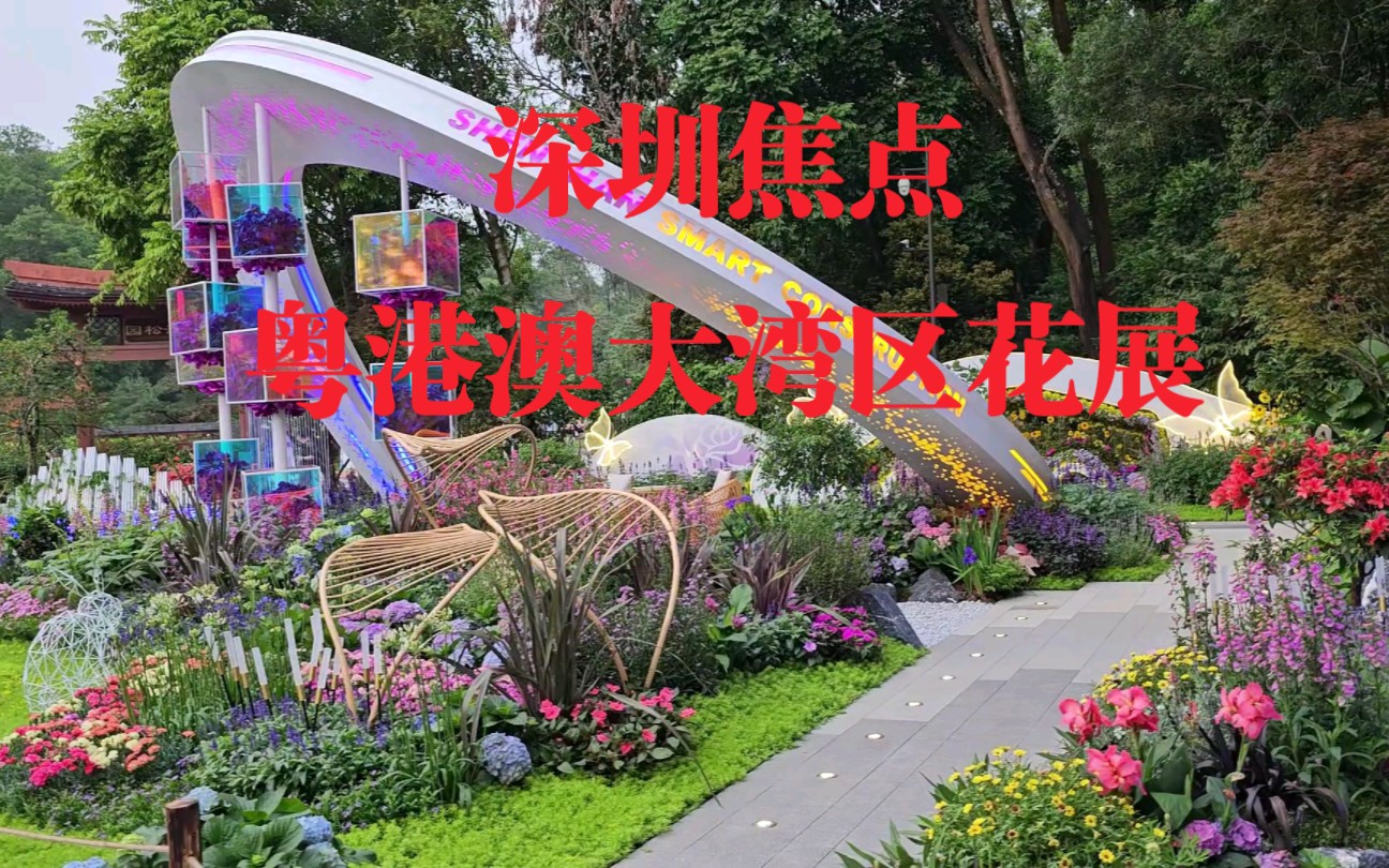 [图]深圳市粤港澳大湾区花展在仙湖植物园开幕了，百花齐放，太美了！