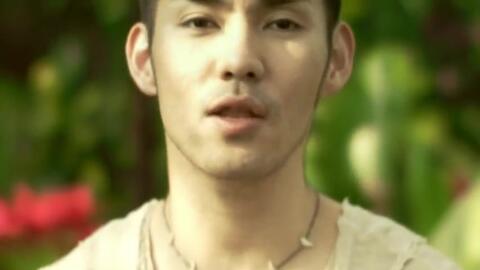 中孝介 花 Music Video 16ver 哔哩哔哩 Bilibili