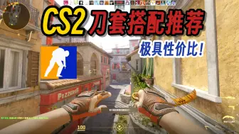 Download Video: 【中低价刀套搭配方案】2000价位CS2皮肤搭配推荐指南！