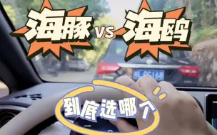 Download Video: 还在纠结比亚迪是选海豚还是海鸥？快来看看我这篇，希望让你能更快做出选择。