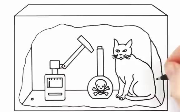 schro04dingers katze 薛定谔的猫