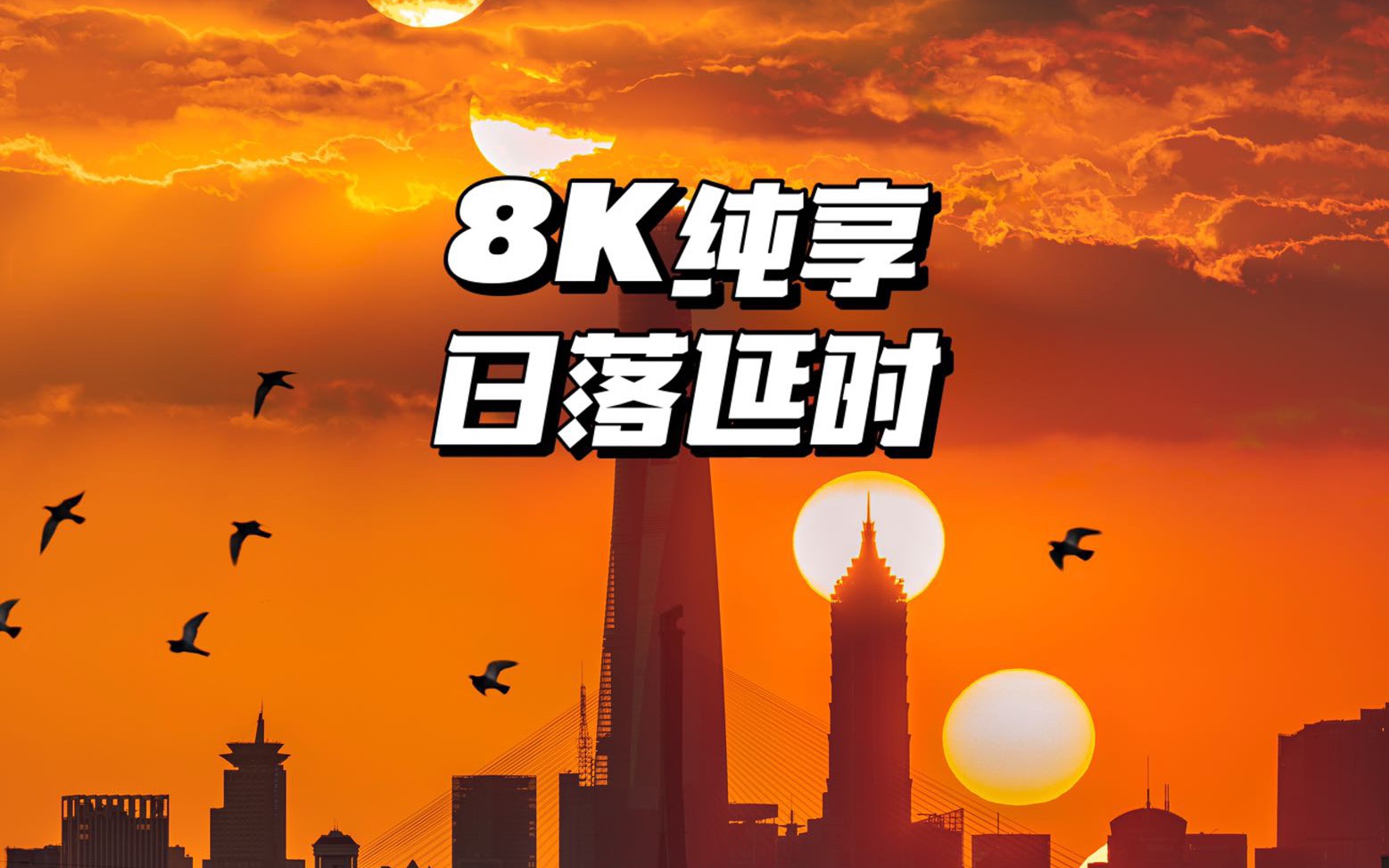 【8K纯享版】魔都三件套日落延时演示 | 终极画质哔哩哔哩bilibili