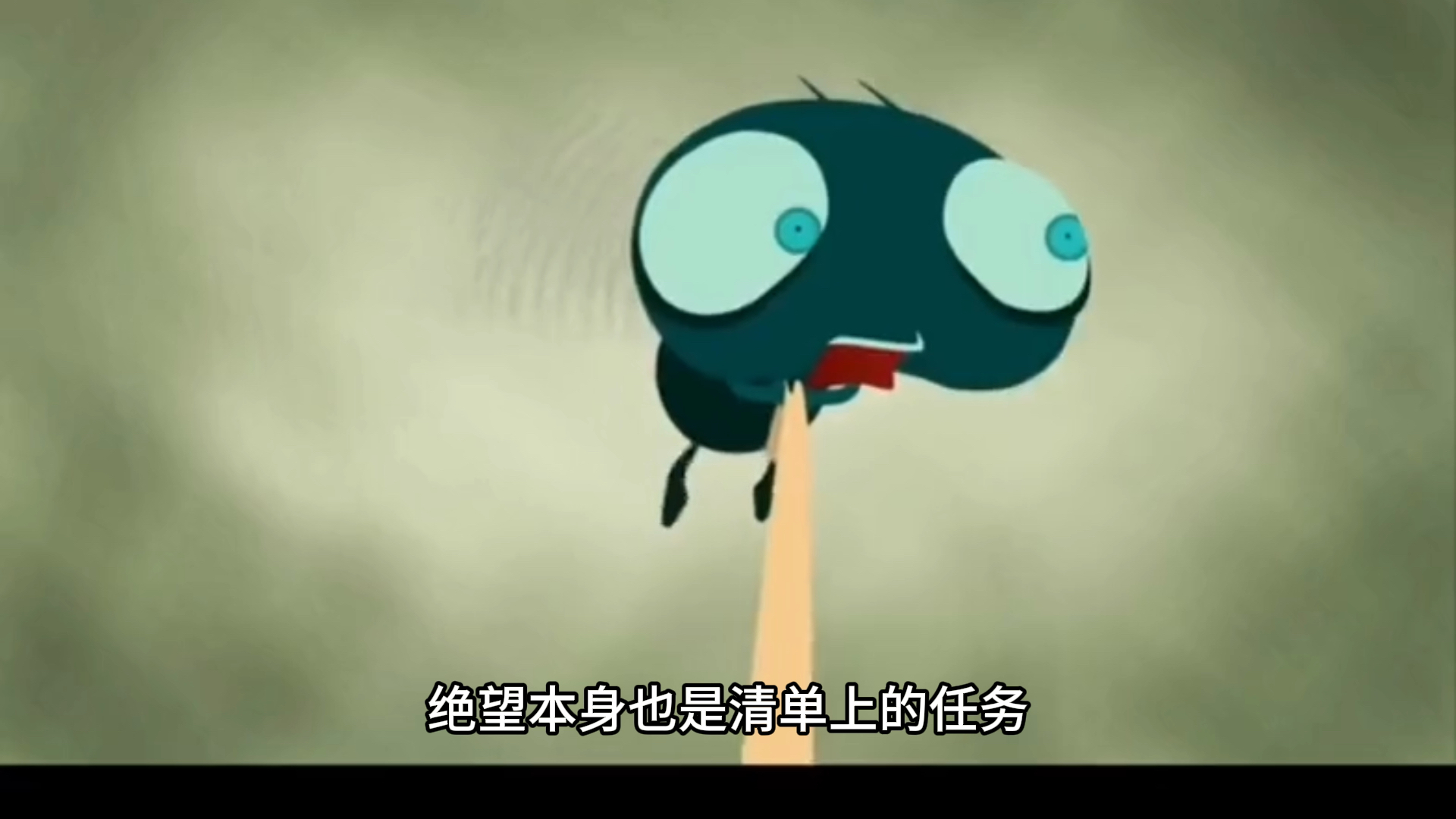 苍蝇一分钟的人生