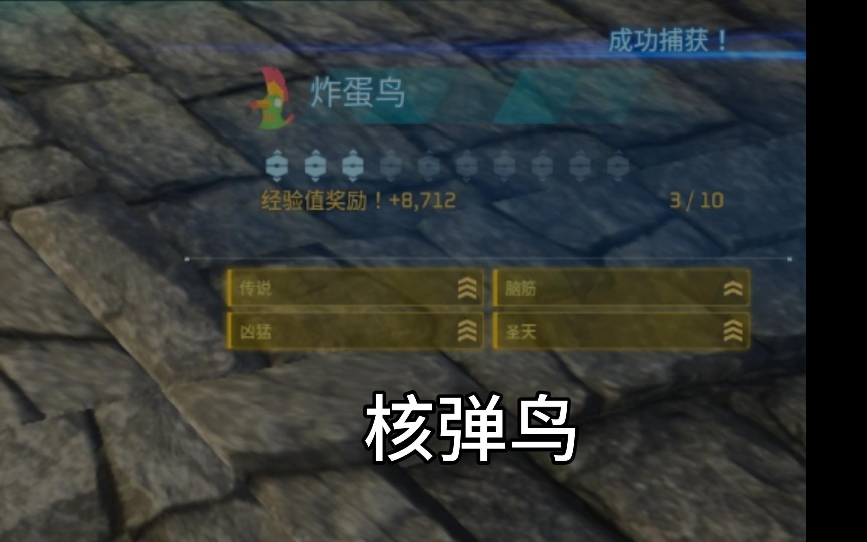 木亥 弓弾 鸟