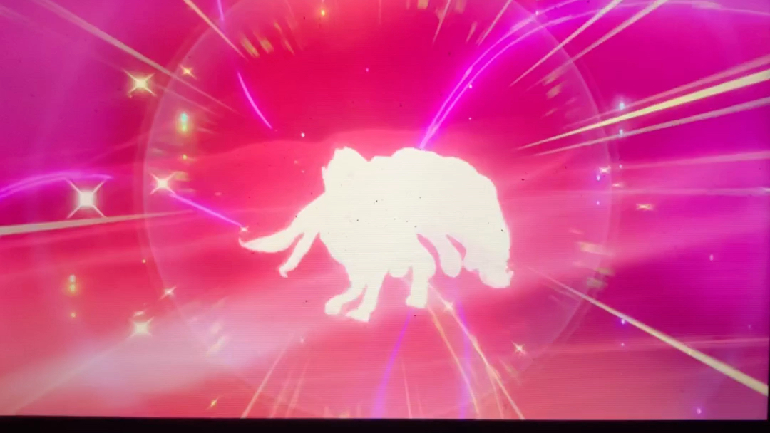 自娱自乐宝可梦剑盾圣诞闪光六尾进化