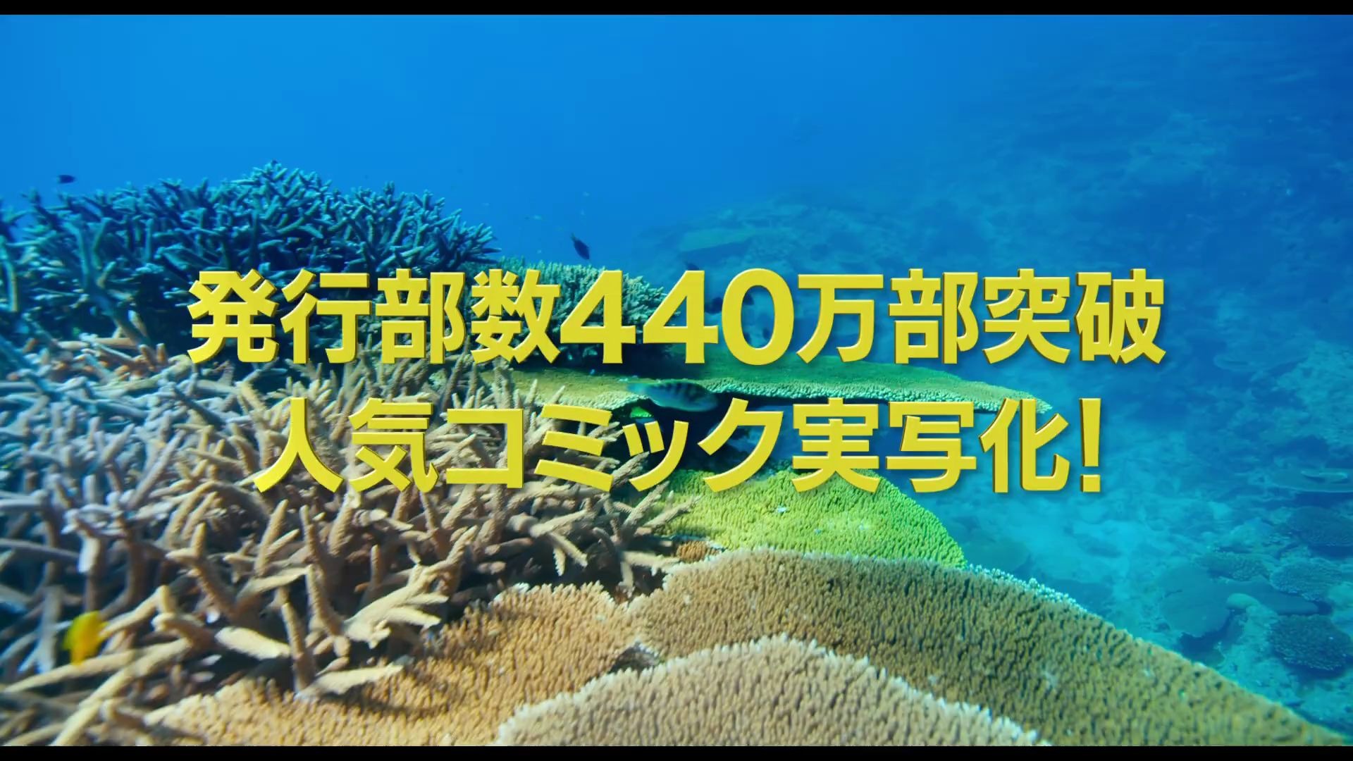 【漫改/真人版/2020年5月29日上映】『碧蓝之海』特报【1080P】哔哩哔哩bilibili