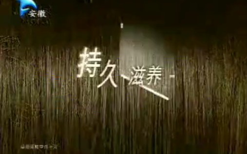 2007.7.28安徽卫视广告1哔哩哔哩bilibili