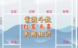 Download Video: 红鸾天喜，你和你对象是如何相识的？紫微斗数实战学员命盘教学