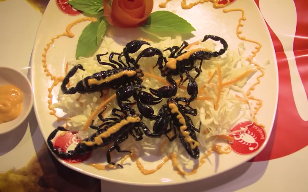 下饭 日常听力练习:贝爷同款爆浆虫_哔哩哔哩_bilibili