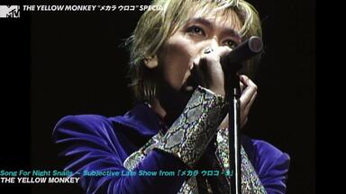 吉井和哉/LIVE APPLES～Flowers&Powerlight Tou… 吉井和哉/LIVE APPLES～Flowers&Powerlight Tou… ミュージック