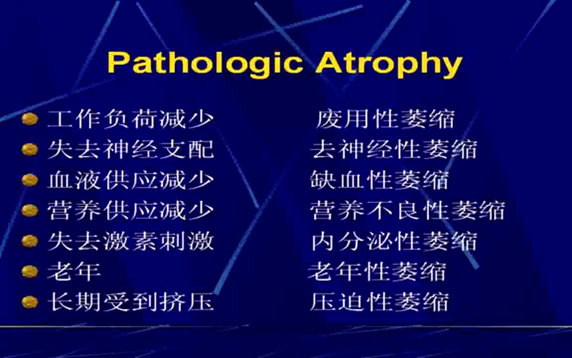 【布谷鸟乐学堂】《病理学》有目录四川大学公开课精品课程 全76讲哔哩哔哩bilibili