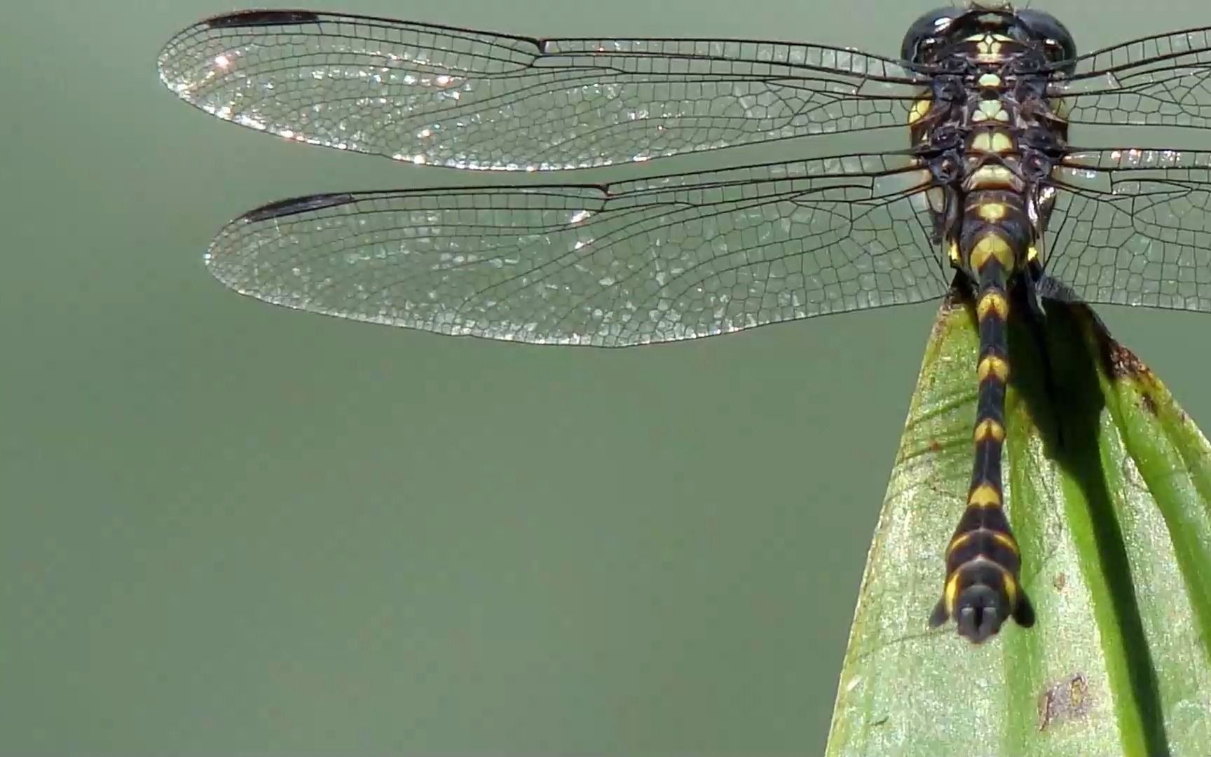 马丁老师高中物理全套课程