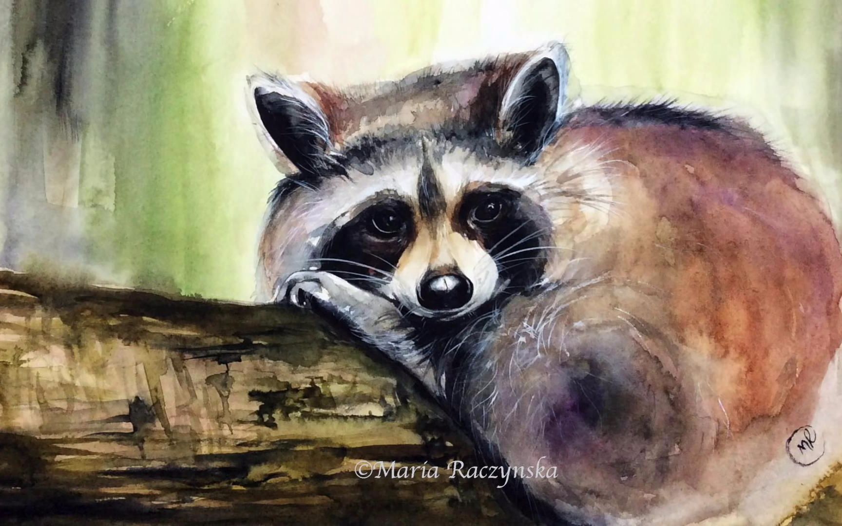 【水彩】手绘水彩画一只小浣熊_哔哩哔哩_bilibili