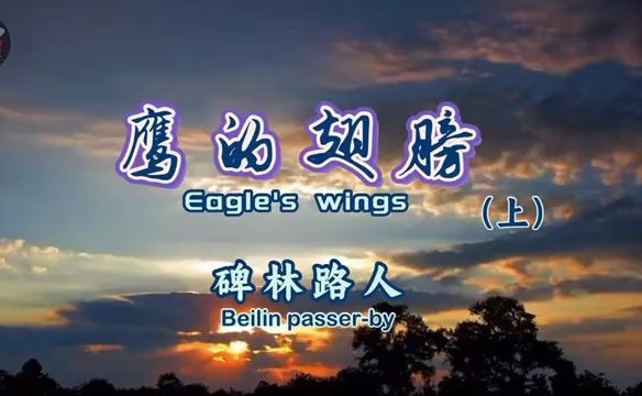 【配音秀】美文鹰的翅膀.上哔哩哔哩bilibili