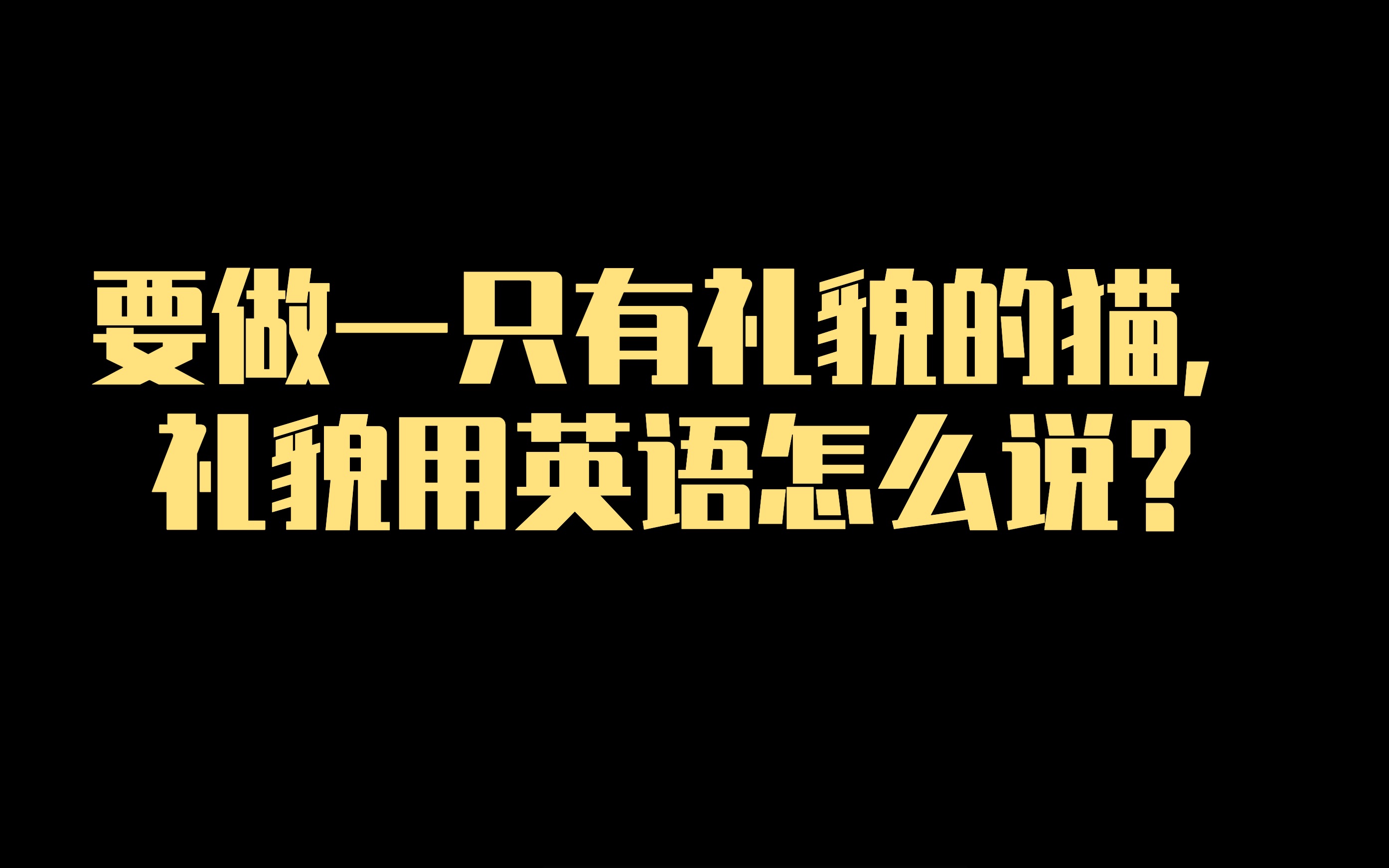 要做一只有礼貌的猫,礼貌用英语怎么说?哔哩哔哩bilibili