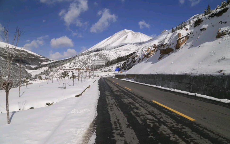 【旅游】云南第二高峰 白马雪山哔哩哔哩bilibili