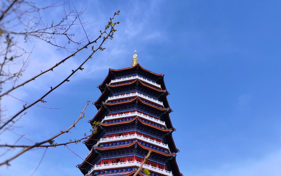 天水南郭寺塔图片