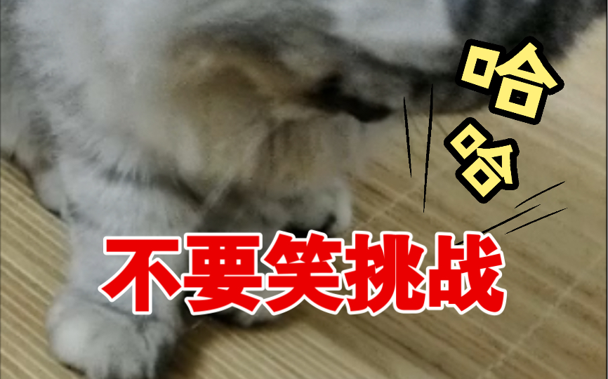 小橘子 我就是玩儿