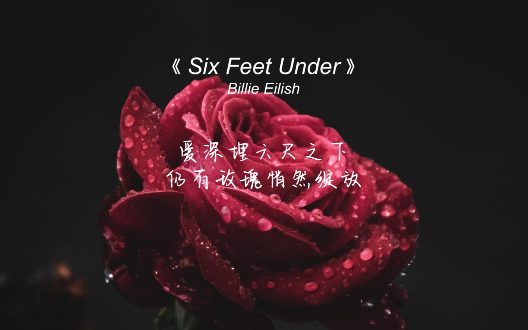 [图]《Six Feet Under》慵懒空灵的嗓音，性感迷人令人陶醉