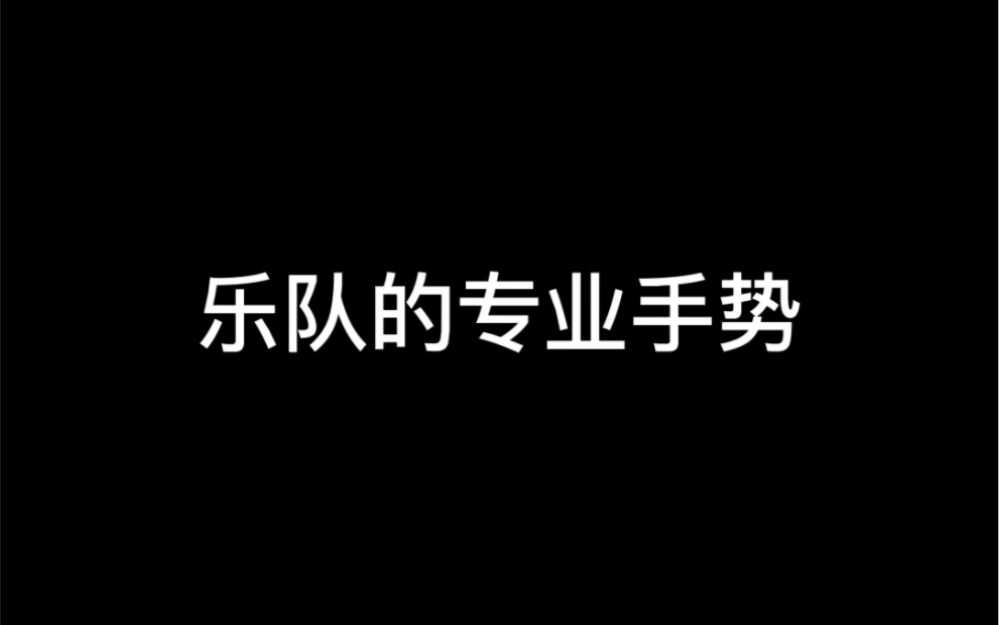 问:B调是什么手势 (南北不一)哔哩哔哩bilibili