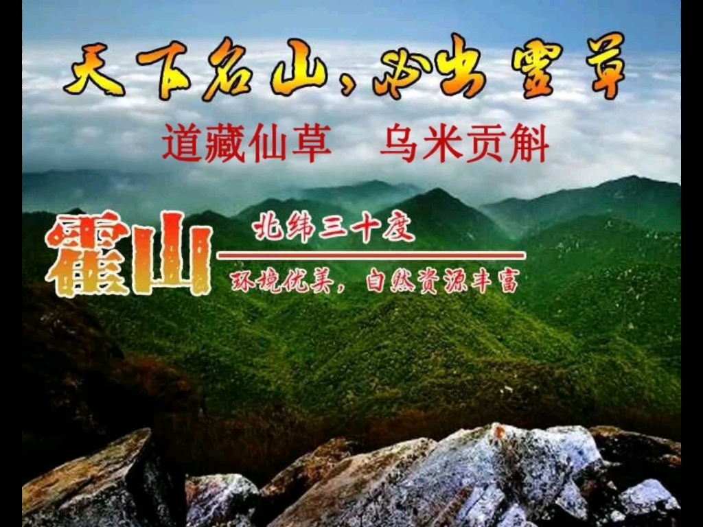 宣传中国瑰宝霍山石斛的神奇传说,历史和现在的名人专家对霍山石斛的本草经典目录,(三集)介绍给大家一分享哔哩哔哩bilibili