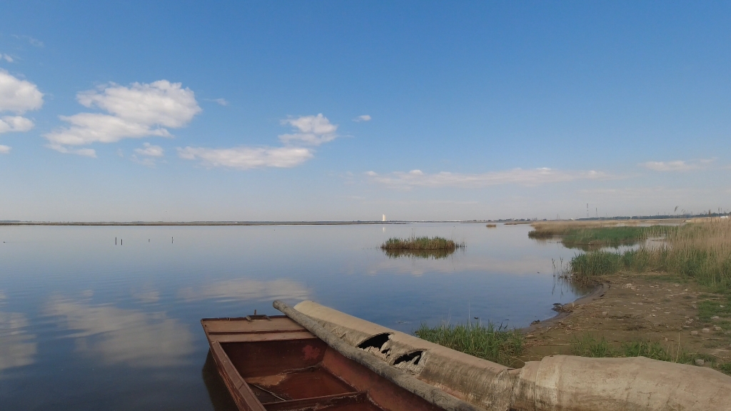 黑龙江省安达市太平桥村八里泡