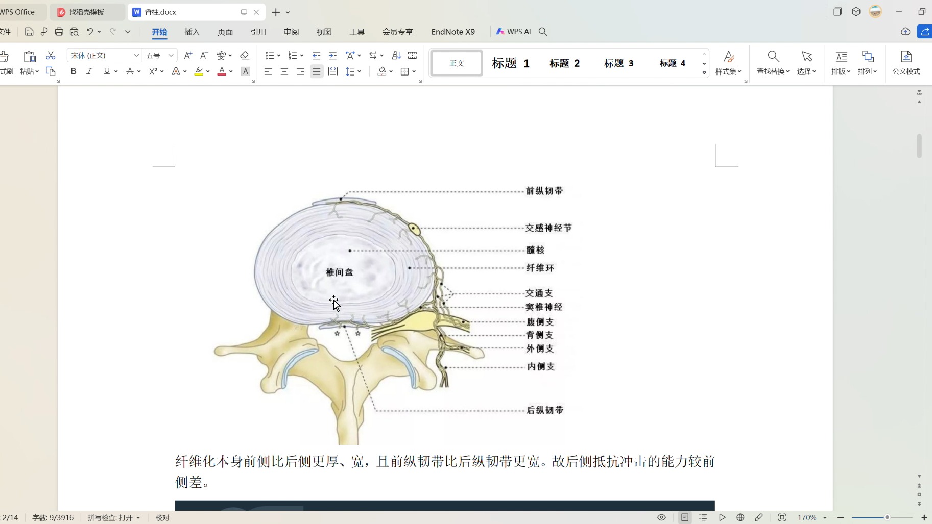 脊柱外科之腰椎间盘突出讲解