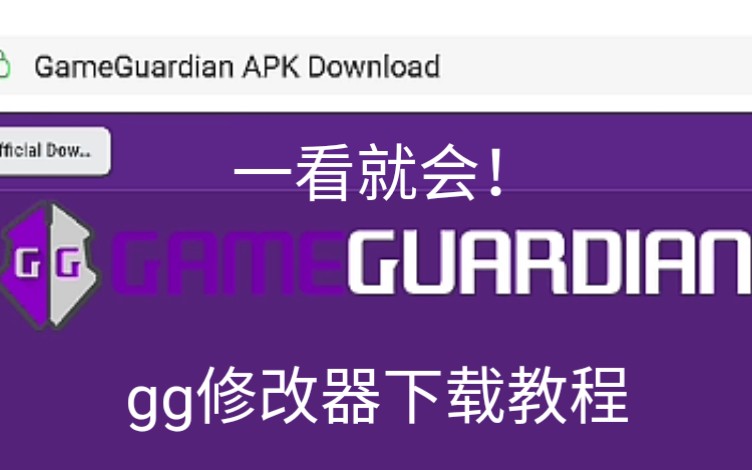 GameGuardian下载教程完整版(附vx框架下载教程)哔哩哔哩bilibili