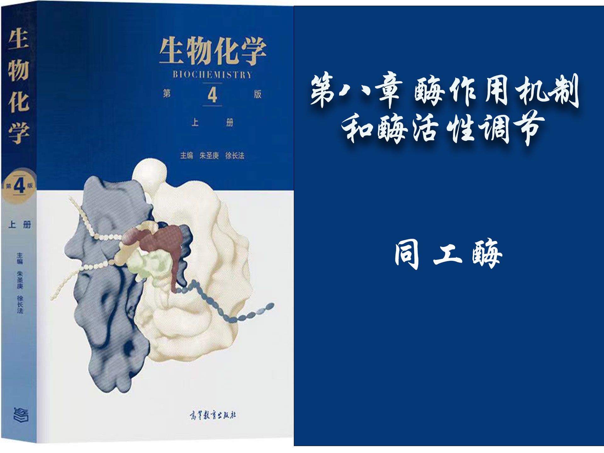 72.生物化学  第八章— 同工酶哔哩哔哩bilibili