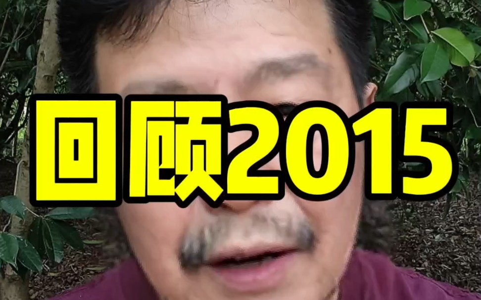 让我们一起来回顾一下2015年的大牛市过程#金融#股票#股民哔哩哔哩bilibili