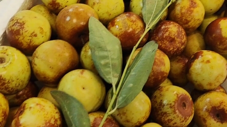 每日新鲜水果市场哈尔滨