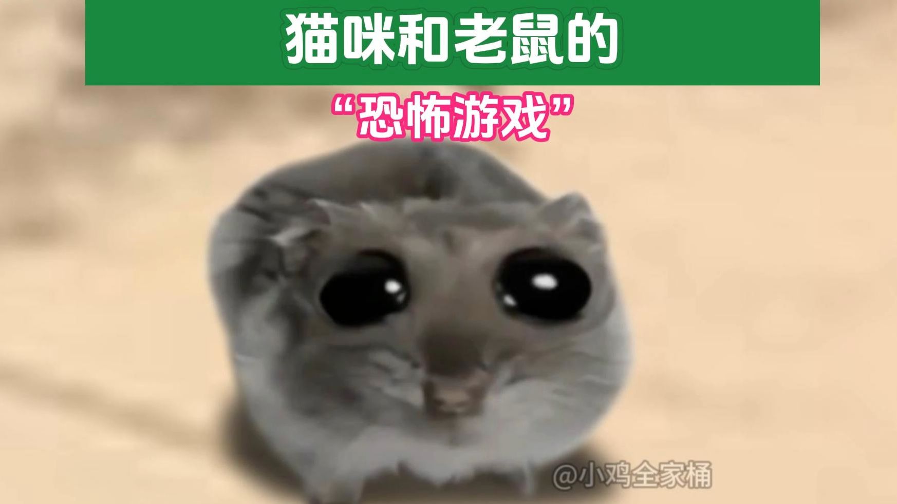 猫和老鼠灵异图片