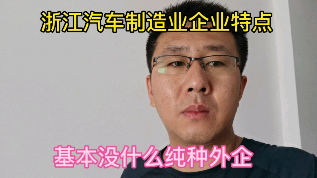 浙江汽车制造业企业特点,基本没有纯种外企,都是民营企业.哔哩哔哩bilibili